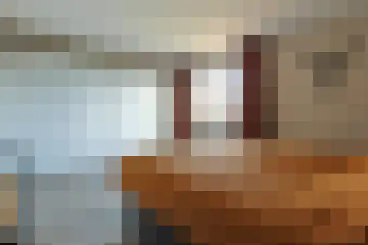Australiëlaan 29 Alphen aan den Rijn thumbnail 51