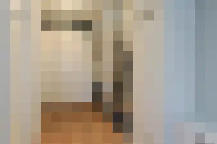 Australiëlaan 29 Alphen aan den Rijn thumbnail 6