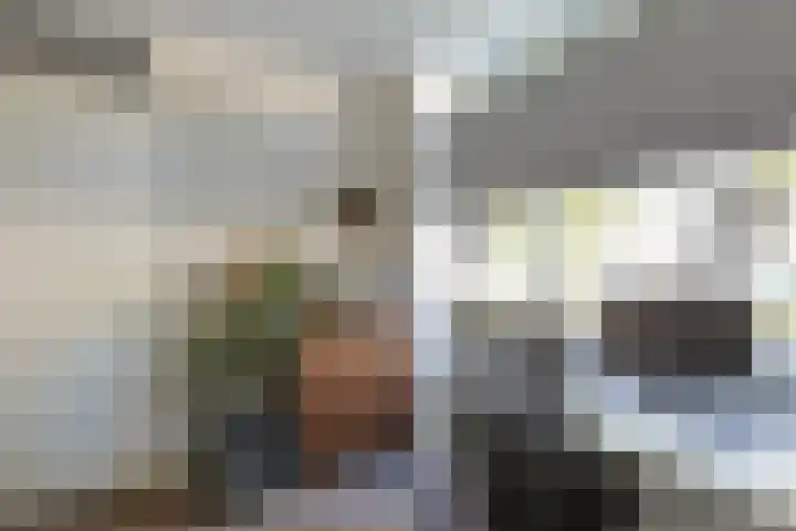Australiëlaan 29 Alphen aan den Rijn thumbnail 9