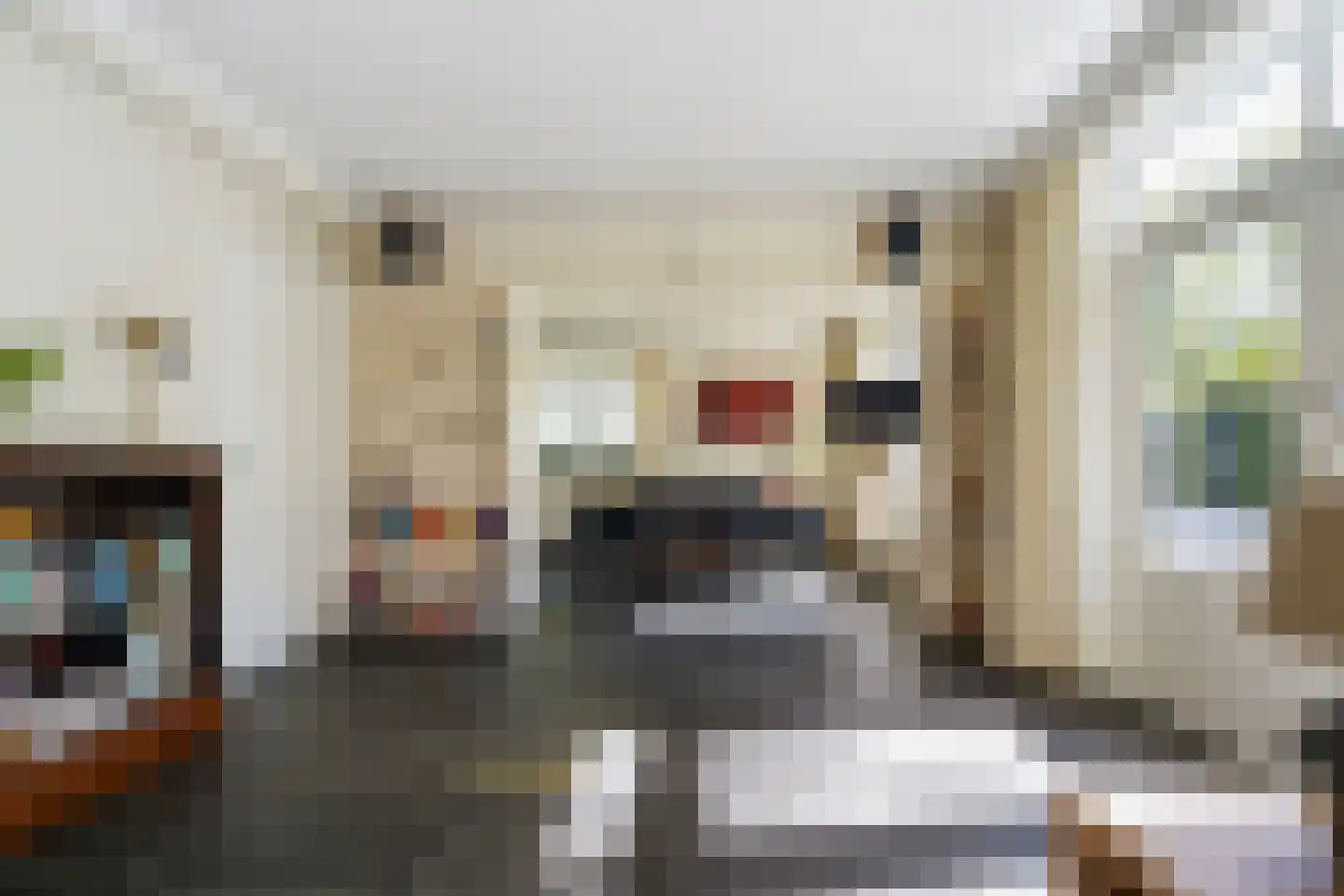 Auteurslaan 21 Tilburg thumbnail 24