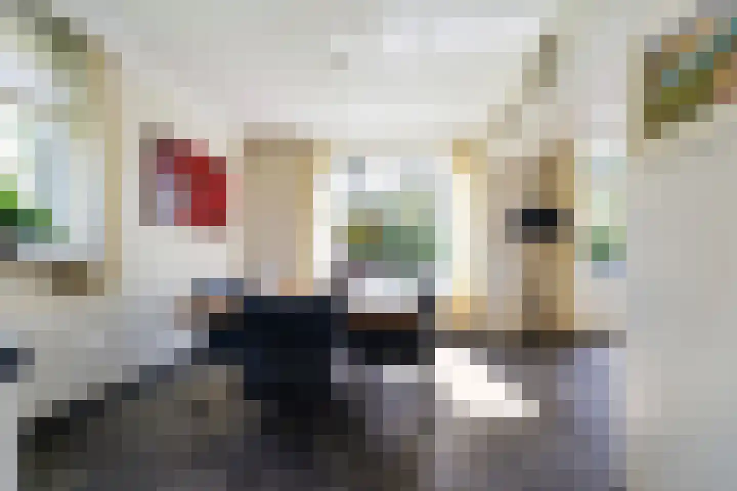 Auteurslaan 21 Tilburg thumbnail 31