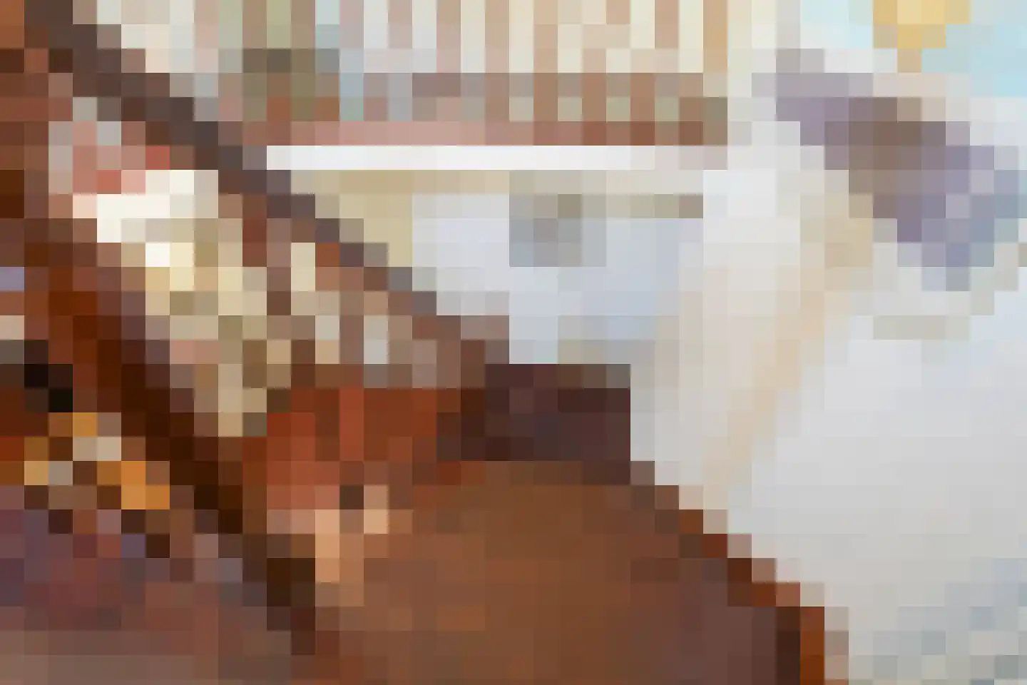 Auteurslaan 21 Tilburg thumbnail 37