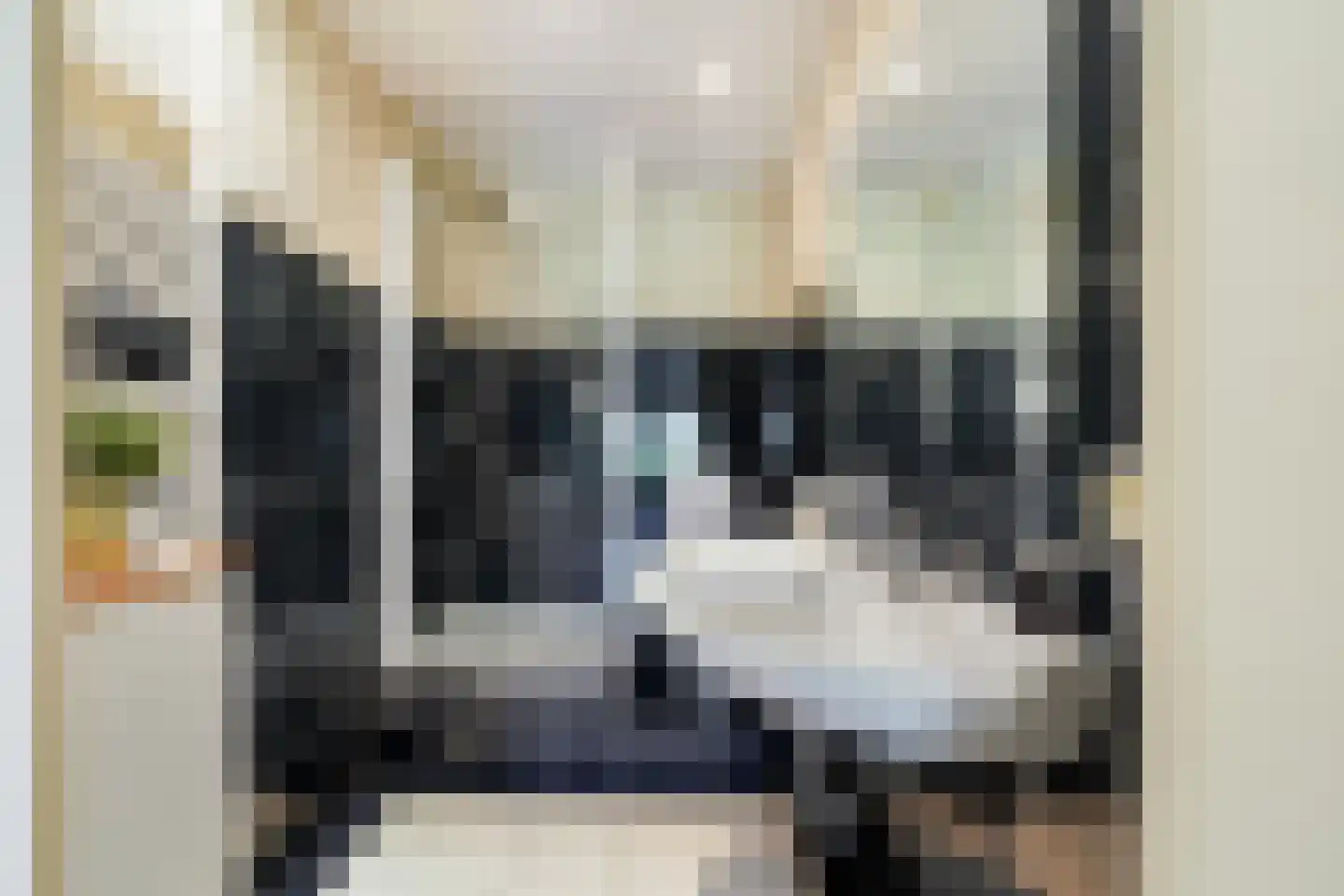 Auteurslaan 21 Tilburg thumbnail 47