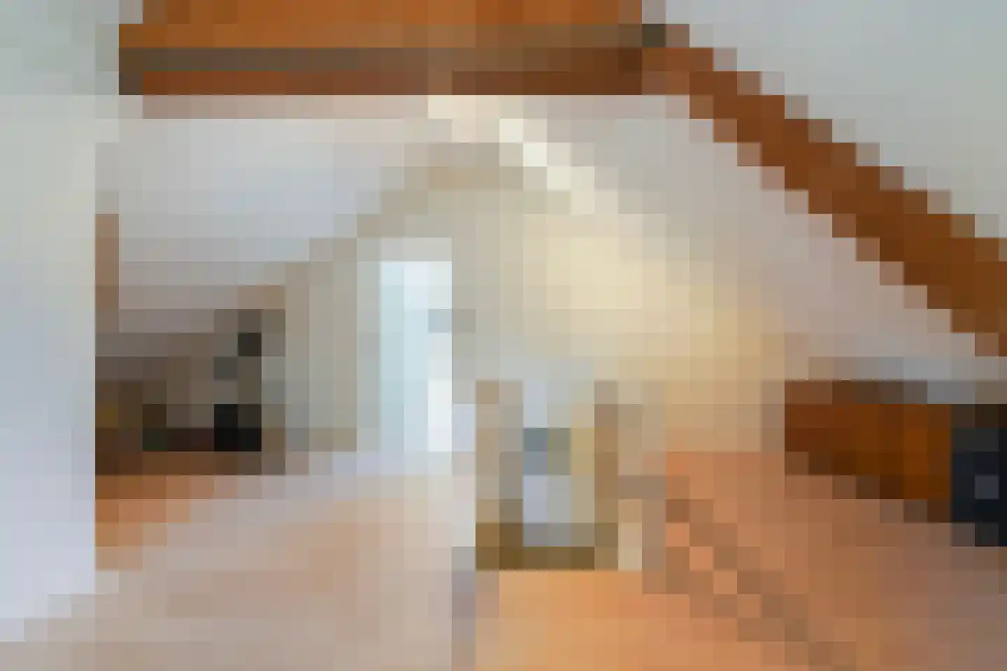 Auteurslaan 21 Tilburg thumbnail 57