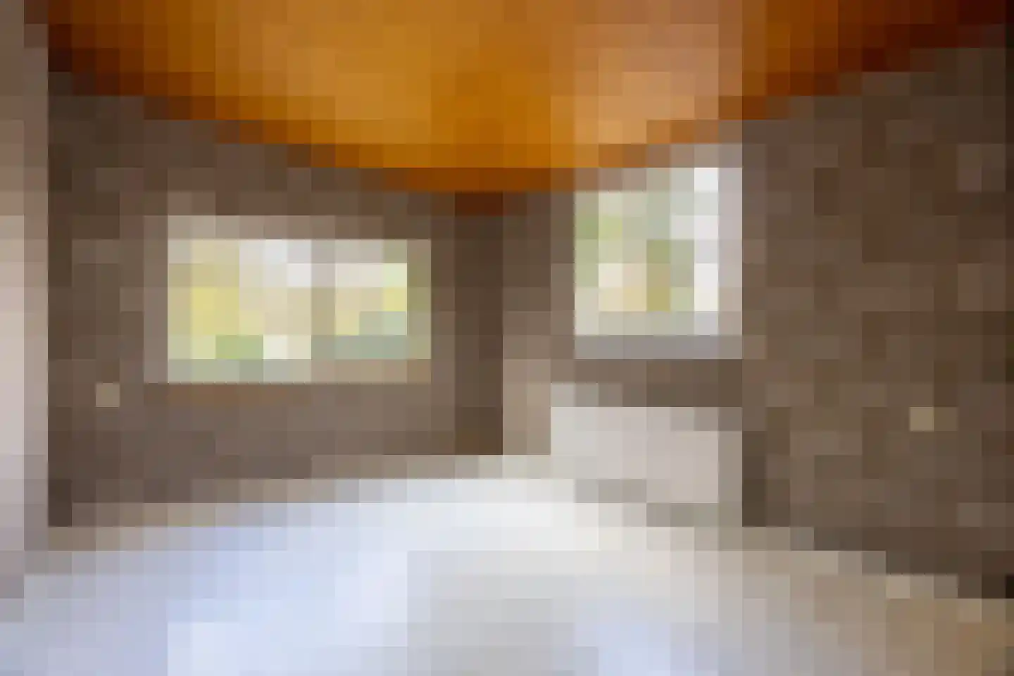 Auteurslaan 25 Tilburg thumbnail 23