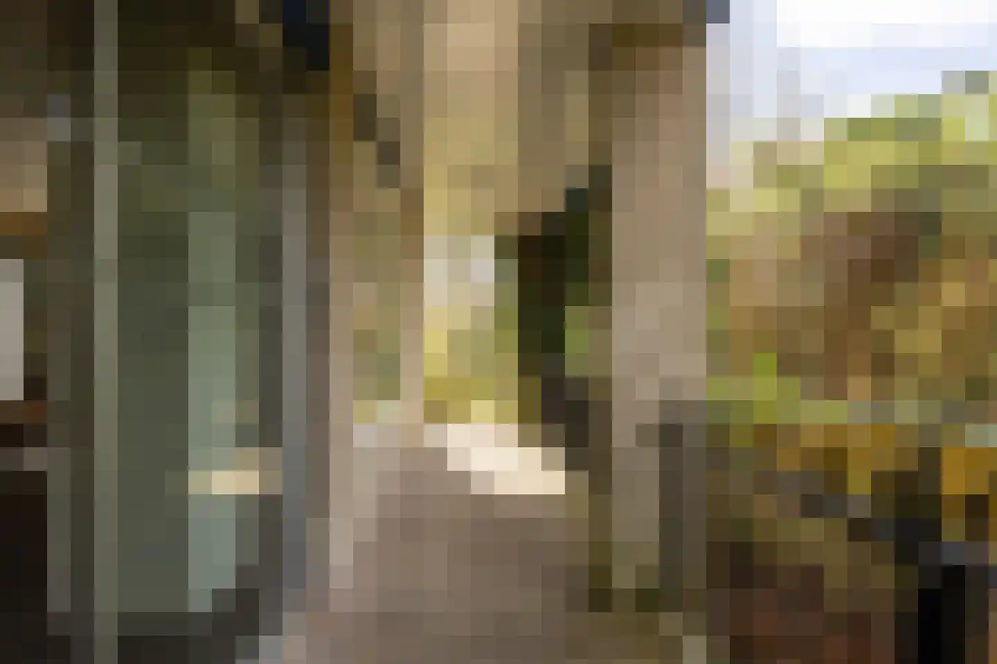 Auteurslaan 25 Tilburg thumbnail 31