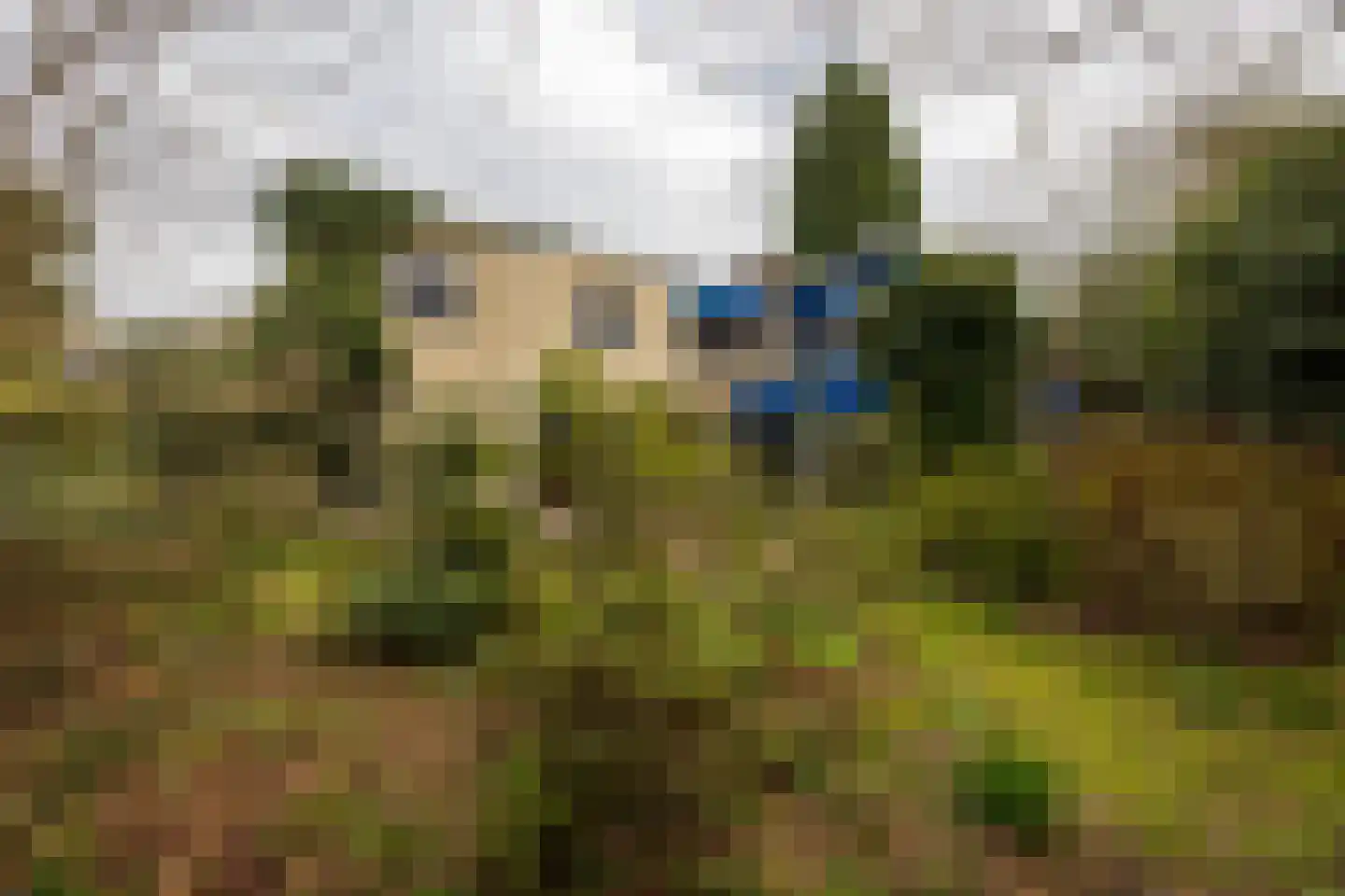 Auteurslaan 25 Tilburg thumbnail 33