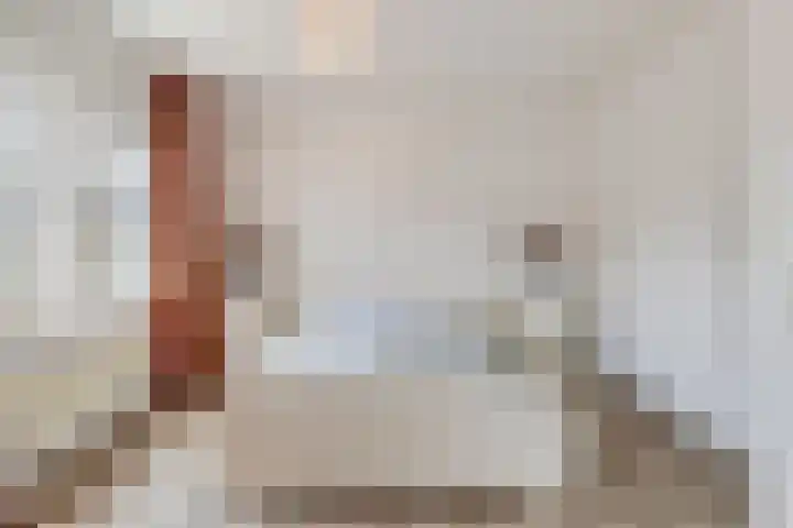 Auvergnelaan 17 Eindhoven thumbnail 13