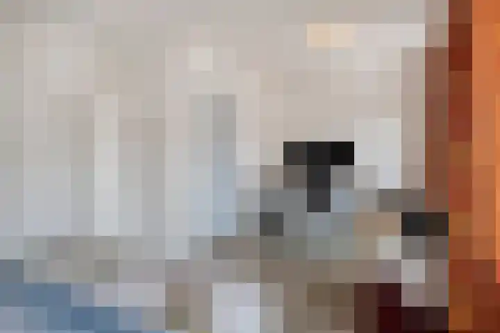 Auvergnelaan 17 Eindhoven thumbnail 15
