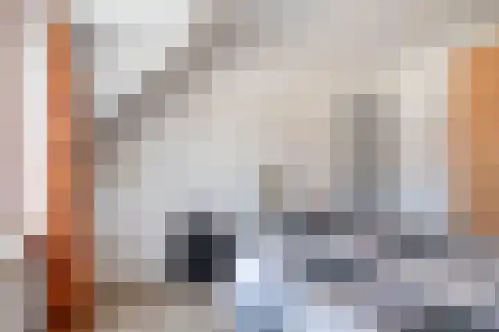 Auvergnelaan 17 Eindhoven thumbnail 19