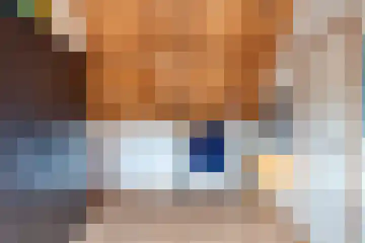 Auvergnelaan 17 Eindhoven thumbnail 26