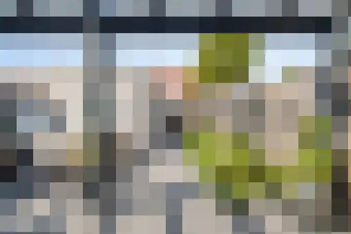 Auvergnelaan 17 Eindhoven thumbnail 29