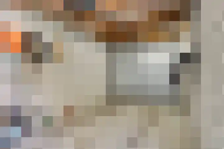 Auvergnelaan 17 Eindhoven thumbnail 37