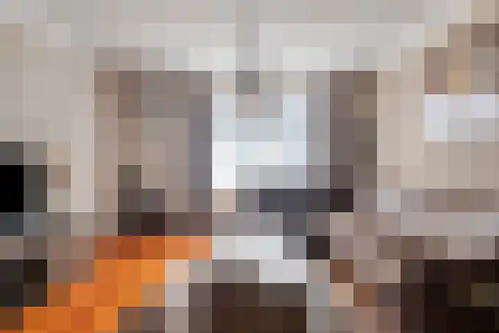 Auvergnelaan 17 Eindhoven thumbnail 4