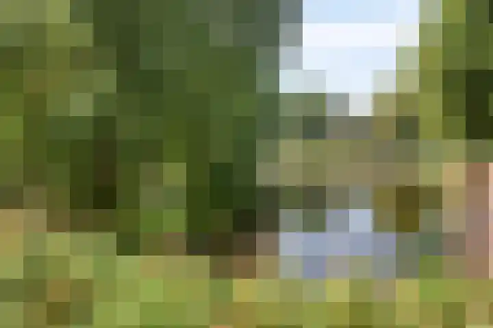 Auvergnelaan 17 Eindhoven thumbnail 40