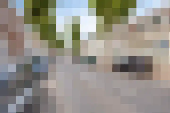 Auvergnestraat 19 Bergen op Zoom thumbnail 7