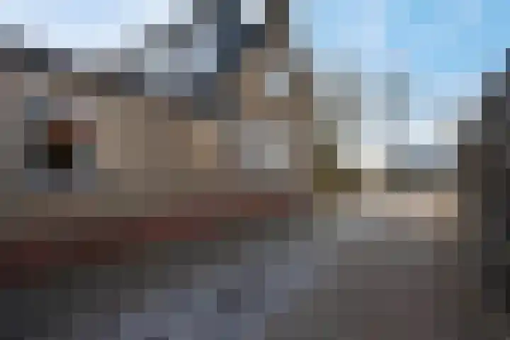 Auwemalaan 1 3 Tolbert thumbnail 10