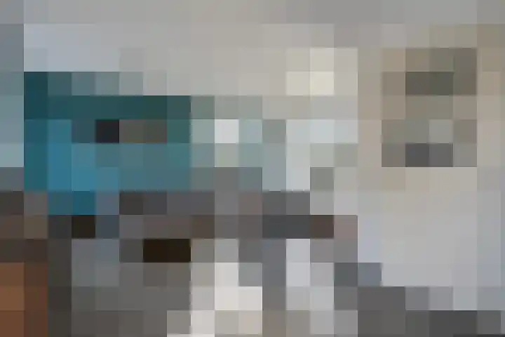 Auwemalaan 1 3 Tolbert thumbnail 19