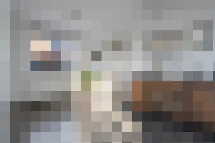 Auwemalaan 1 3 Tolbert thumbnail 24