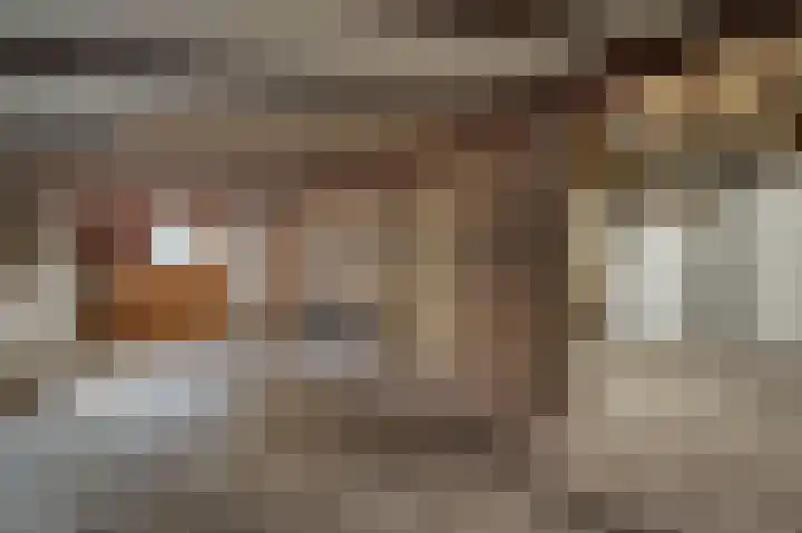 Auwemalaan 1 3 Tolbert thumbnail 35