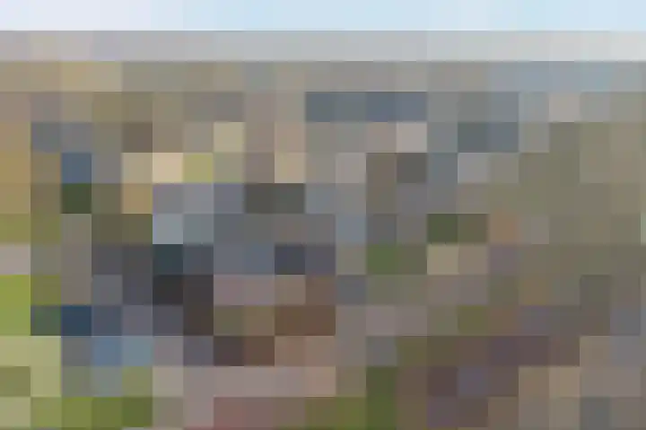Auwemalaan 1 3 Tolbert thumbnail 4