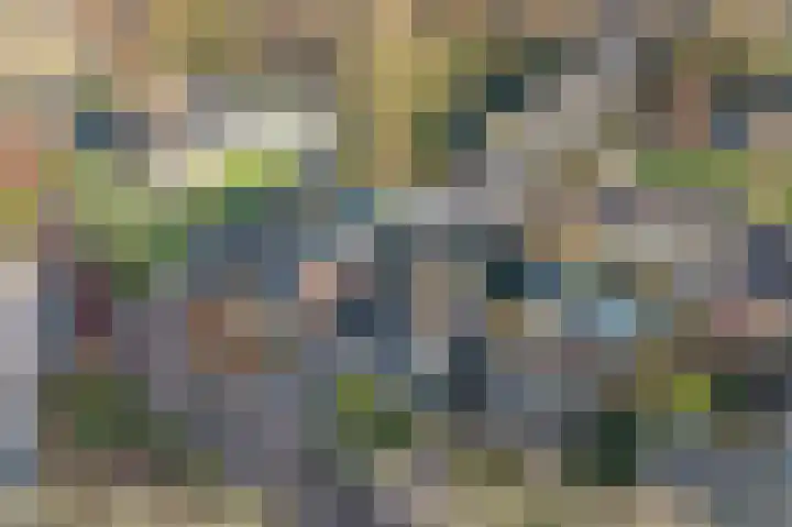 Auwemalaan 1 3 Tolbert thumbnail 45