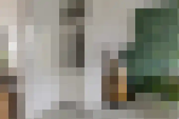 Auwemalaan 63 Leek thumbnail 18
