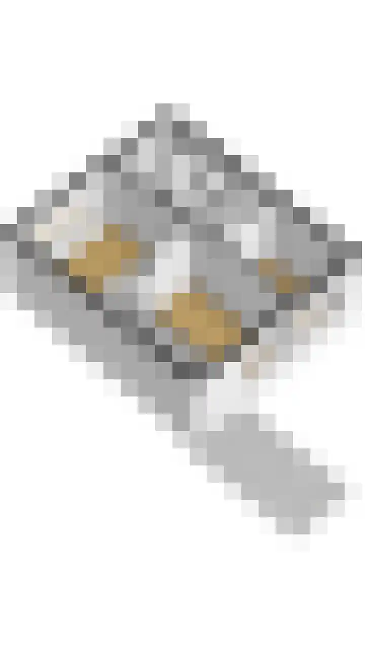Auwemalaan 63 Leek thumbnail 19