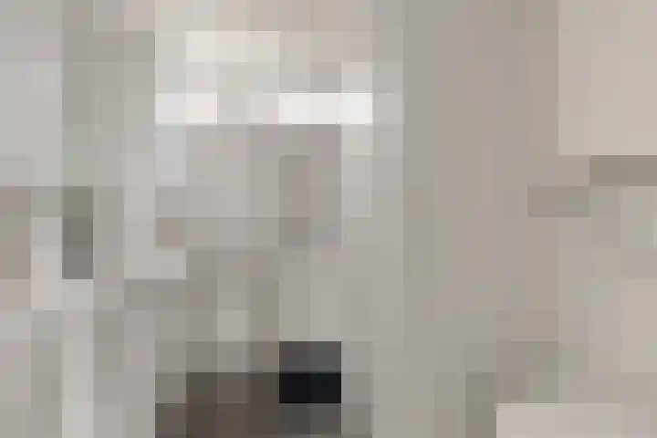 Auwemalaan 63 Leek thumbnail 22