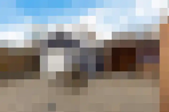 Auwemalaan 63 Leek thumbnail 33