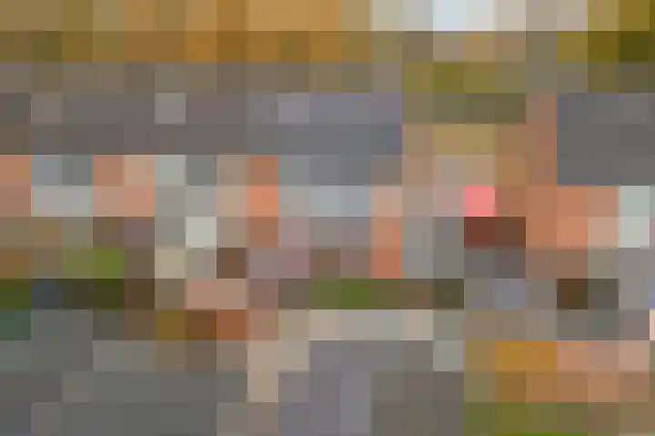 Auwemalaan 63 Leek thumbnail 35