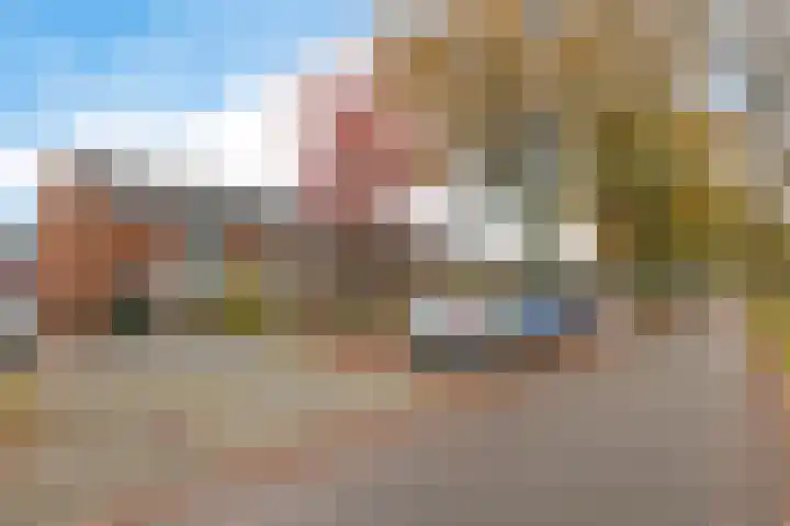 Auwemalaan 63 Leek thumbnail 39