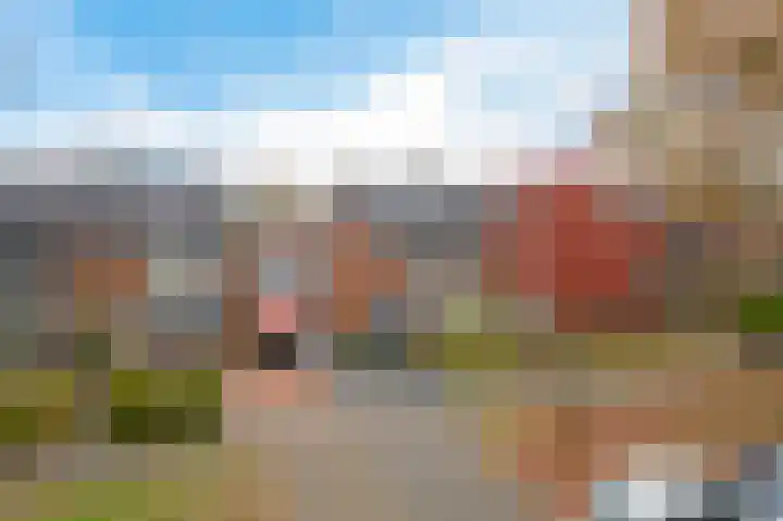 Auwemalaan 63 Leek thumbnail 40