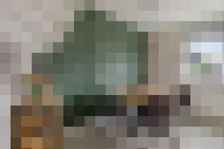 Auwemalaan 63 Leek thumbnail 9