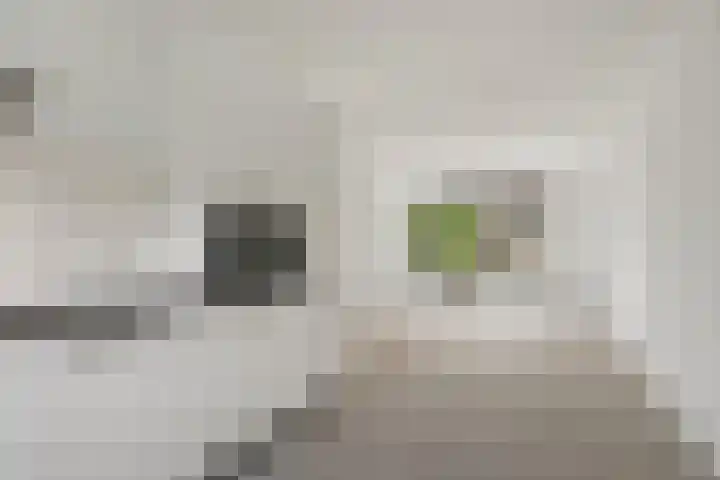 Auxiliastraat 5 Huissen thumbnail 11