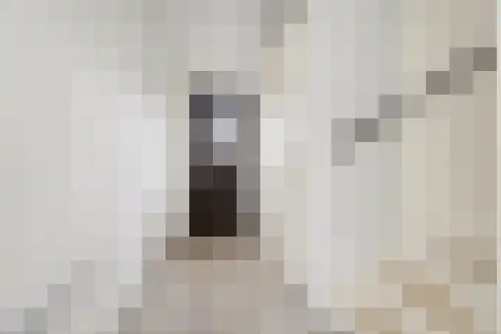 Auxiliastraat 5 Huissen thumbnail 13