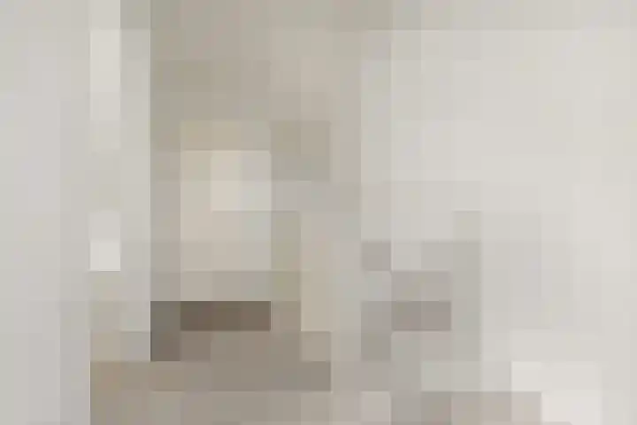 Auxiliastraat 5 Huissen thumbnail 27