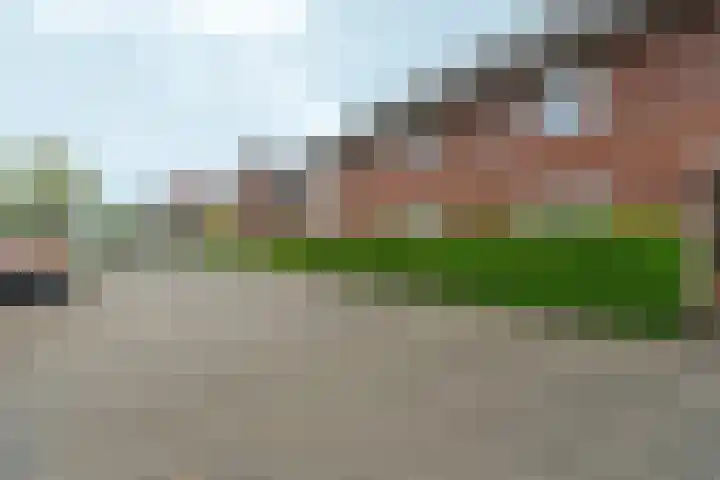 Auxiliastraat 5 Huissen thumbnail 33