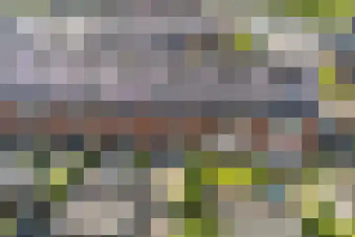Auxiliastraat 5 Huissen thumbnail 35