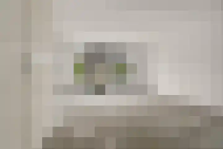 Auxiliastraat 5 Huissen thumbnail 7