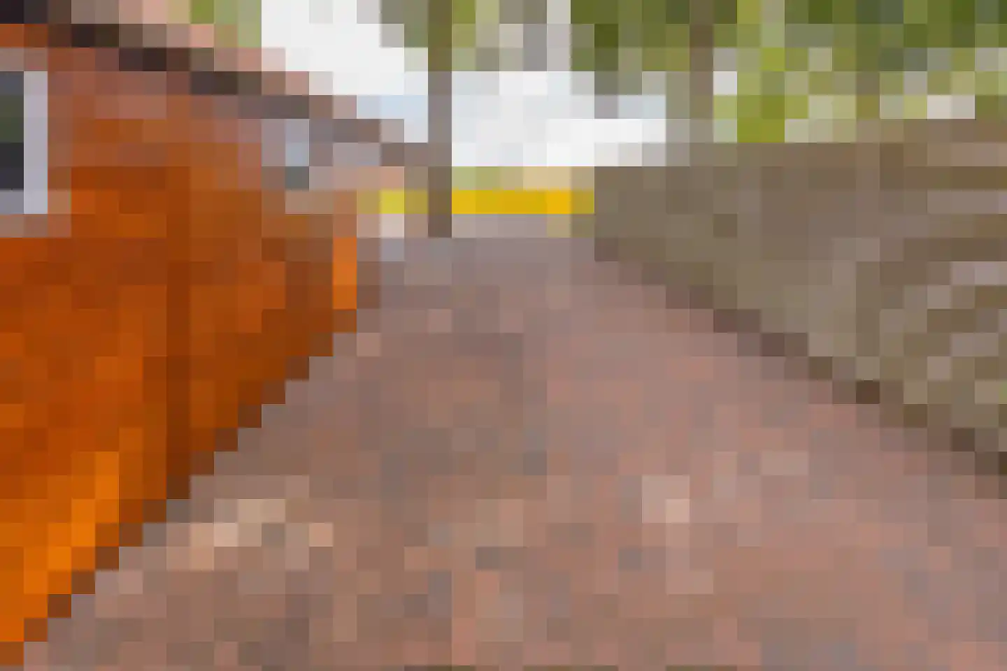 Avébéweg 19 Ter Apelkanaal thumbnail 37
