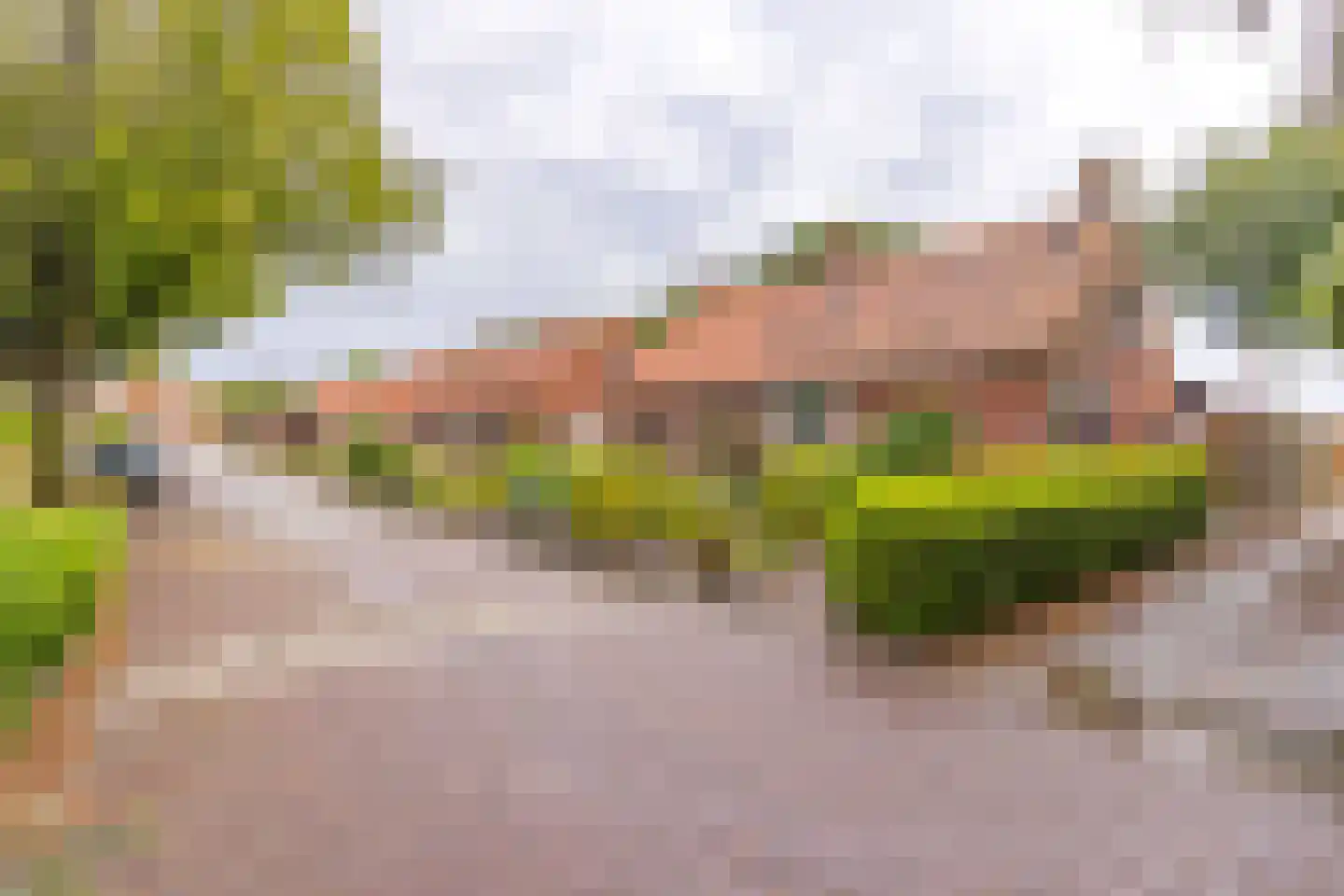Avébéweg 19 Ter Apelkanaal thumbnail 5