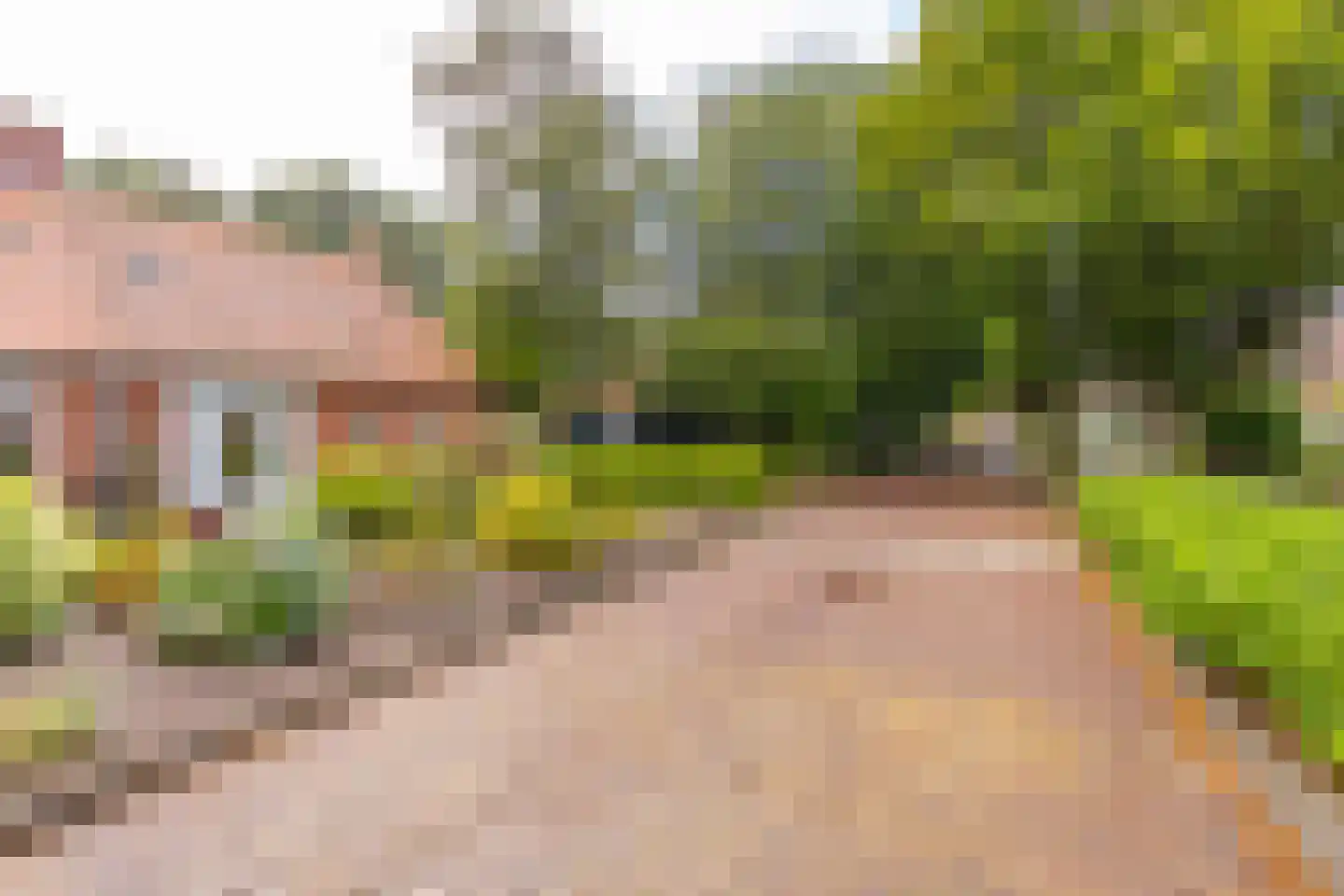 Avébéweg 19 Ter Apelkanaal thumbnail 6
