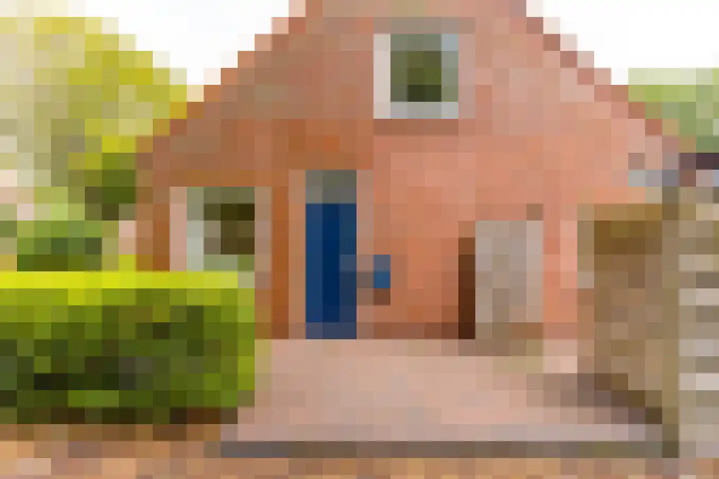 Avébéweg 19 Ter Apelkanaal thumbnail 7