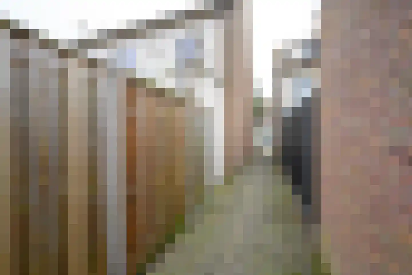 Avegaarstraat 13 Alkmaar thumbnail 28