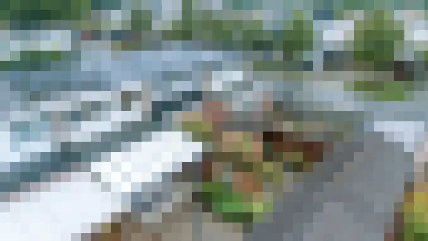 Avekingecamp 18 Emmen thumbnail 37