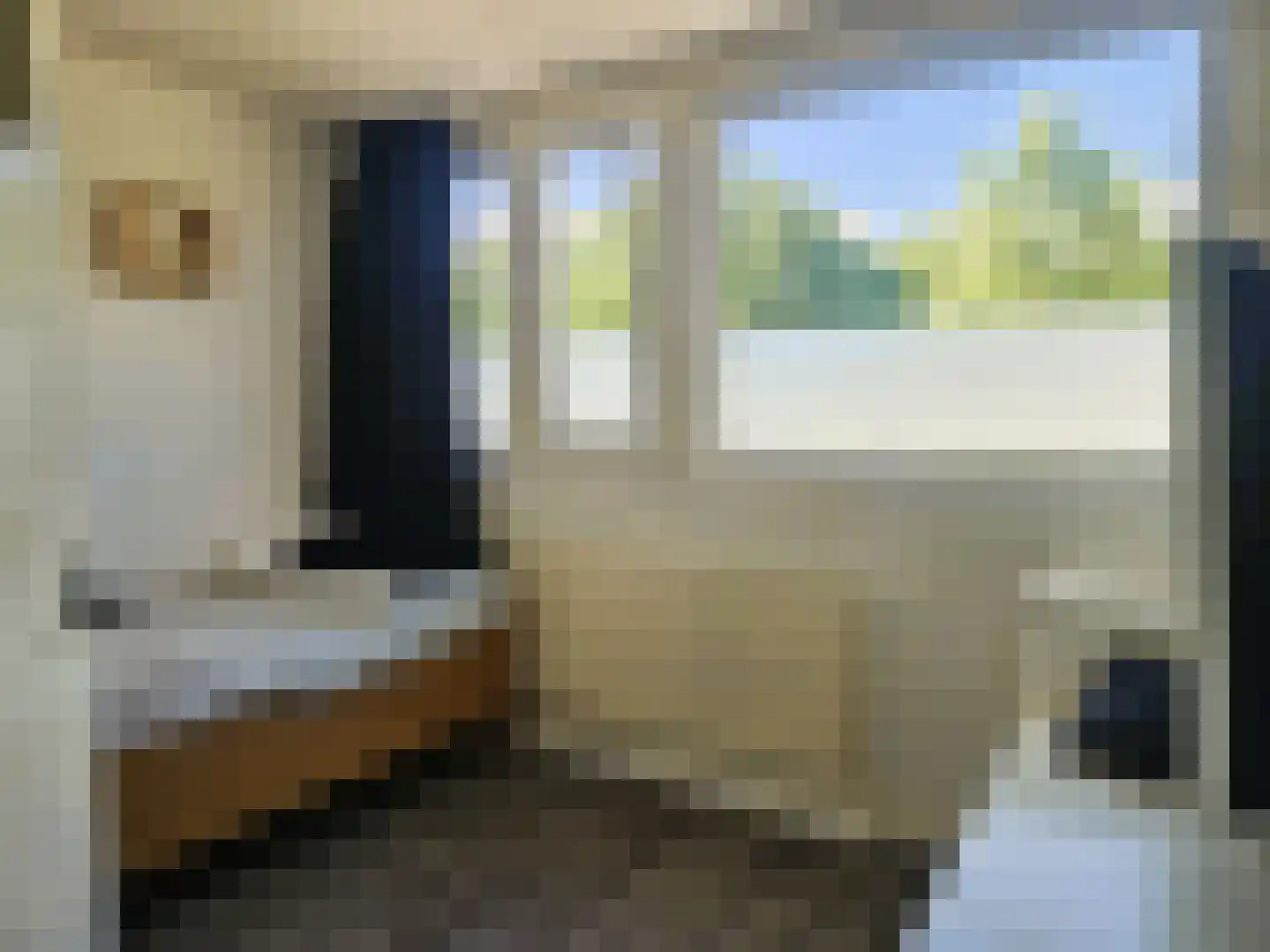 Avekingecamp 25 Emmen thumbnail 15