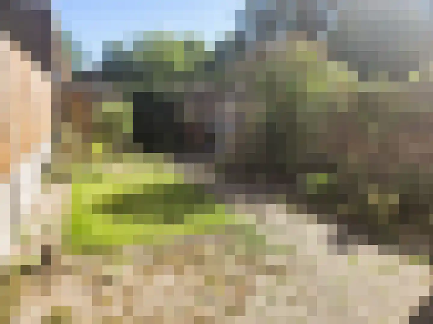 Avekingecamp 25 Emmen thumbnail 20