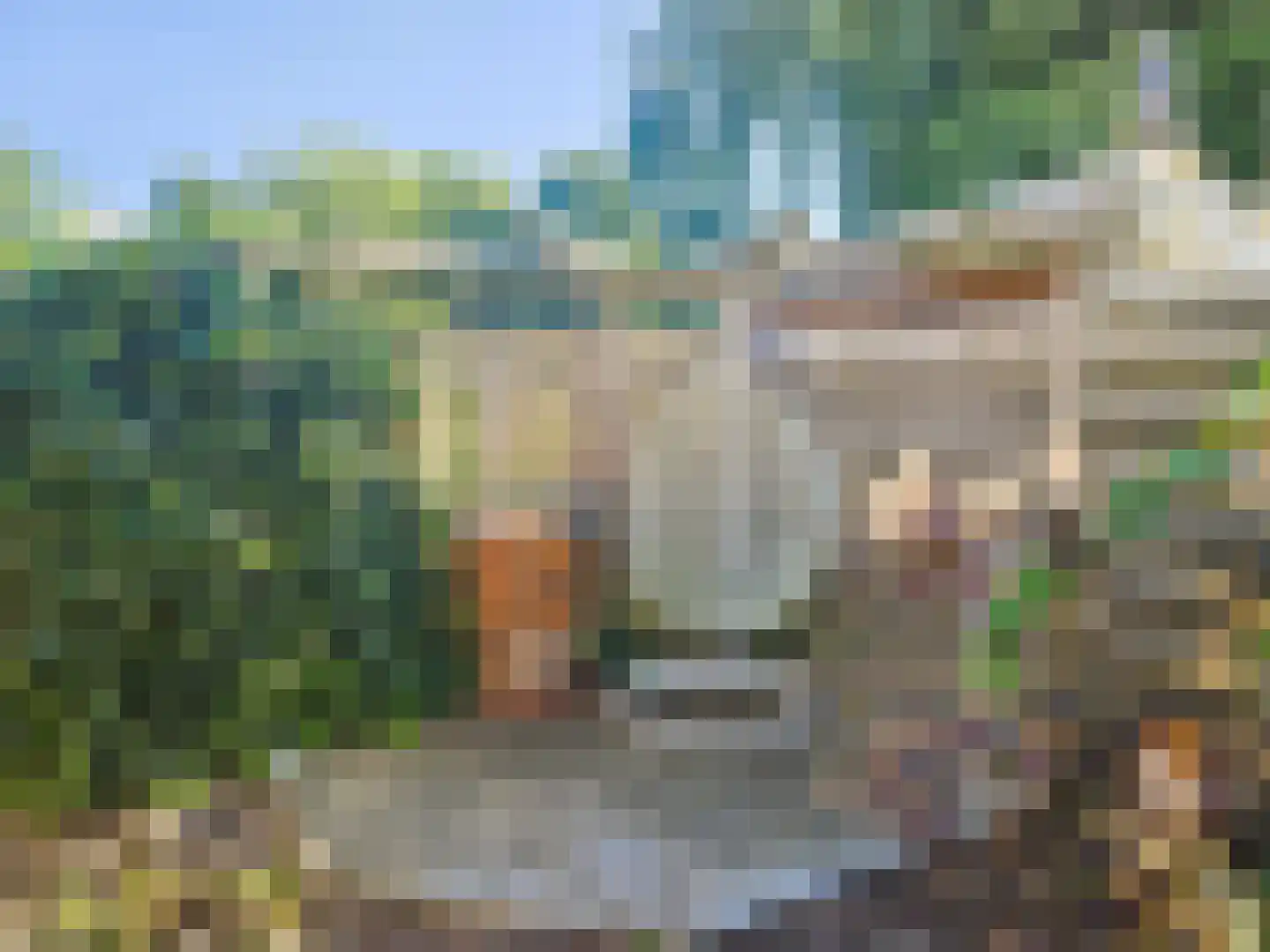 Avekingecamp 25 Emmen thumbnail 21
