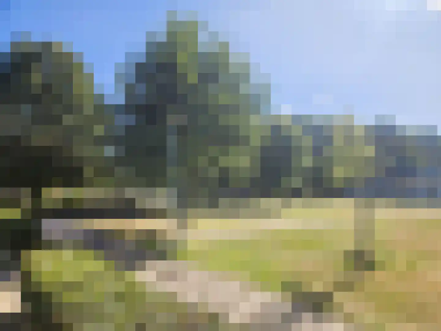 Avekingecamp 25 Emmen thumbnail 26